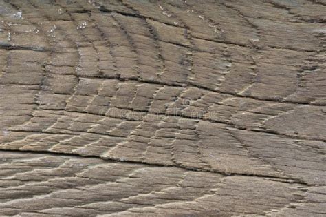 La Vieja Textura De Madera Con Los Modelos Naturales Imagen De Archivo