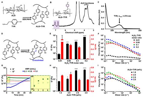 Polymers Free Full Text Tyramine Functionalized Alginate Collagen