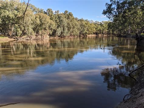 Murrumbidgee River Narrandera Nature Trails Localista