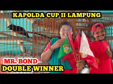 AKSI MB MR BOND DOUBLE WINNER Milik Mr VanDeddick YouTube