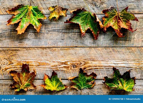 Het Concept Van De Herfstkleuren Model Met Gele Bladeren Op De Houten