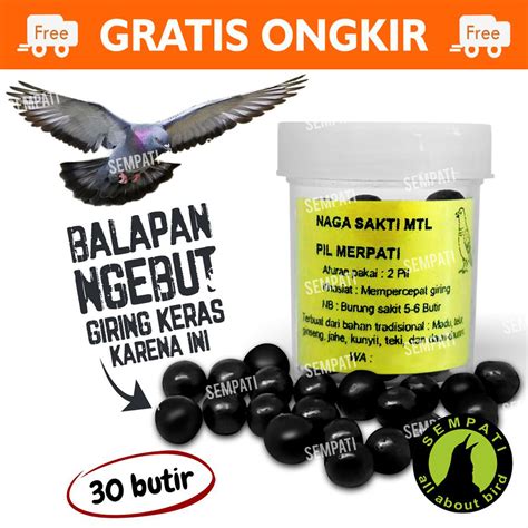 Jual Pil Hitam Ginseng Teki Isi Butir Jamu Keket Merpati Balap Obat