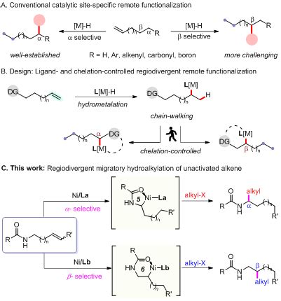 Angew Chem Int Ed Prof Chao Wangs Group From College Of