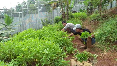 Lapas Kelas Ii B Banjar Terus Asah Kreativitas Warga Binaan