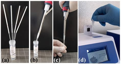 Two To Four Biological Samples Oropharyngeal And Nasopharyngeal Swabs