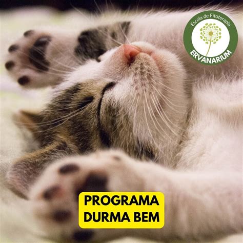 Programa Durma Bem Ervanarium