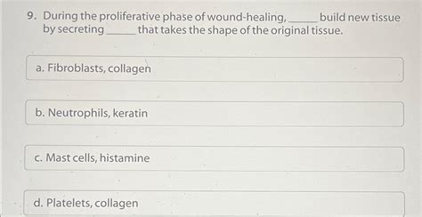 Solved During the proliferative phase of wound-healing, | Chegg.com