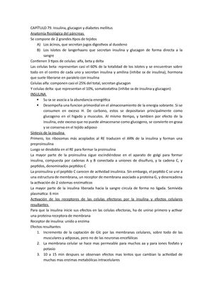 Guia renal trabajo practico Unidad 13 Fisiología Renal