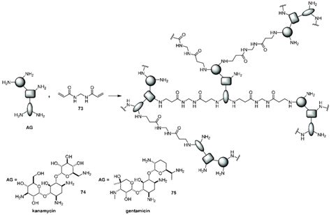 Synthesis Of Kanamycin And Gentamicin Based Hyperbranched Polymers