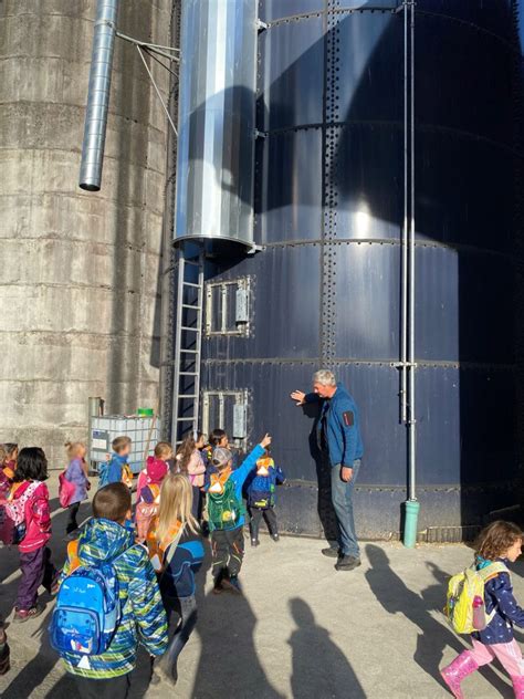 Zu Besuch Auf Dem Bauernhof Schule Murgenthal