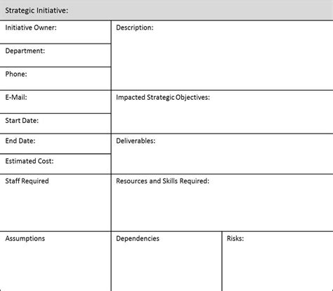 Strategic Initiatives