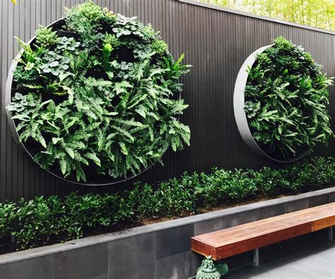 An expert's guide to vertical gardens | Home Beautiful