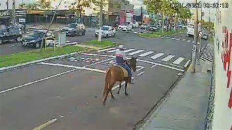 Vídeo Mula morre após ser atropelada em avenida de Birigui Sorocaba