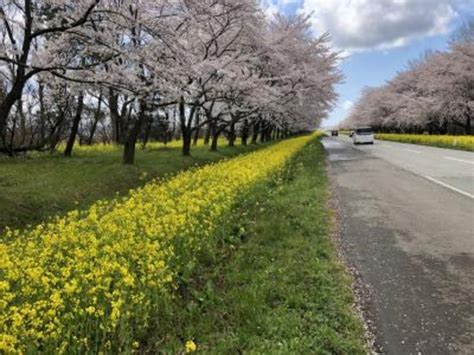 【八郎潟干拓地】アクセス・営業時間・料金情報 じゃらんnet