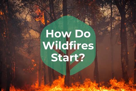 Understanding How Wildfires Start Natural And Human Causes