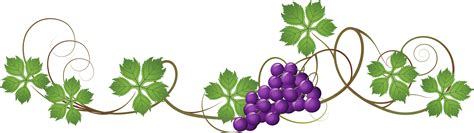 grape vine png   grape vine png png images