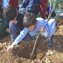 DIVERSIDADE EDUCACIONAL Crianças Plantando Árvores