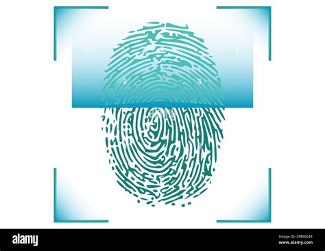 Blue Fingerprint Identification Symbol Stock Vector Image And Art Alamy