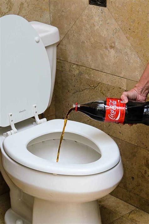 Como Desentupir Vaso Sanitário 7 dicas caseiras