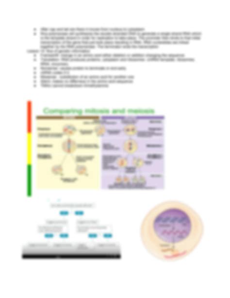 Solution Biol Cheat Sheet Studypool