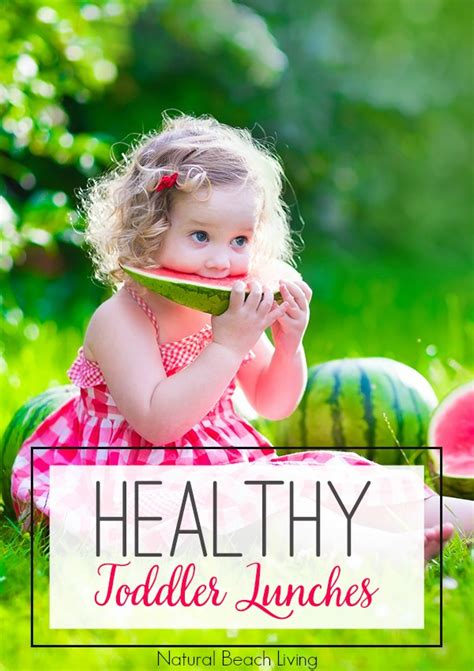 Healthy Toddler Lunch Ideas Recipes your child will love