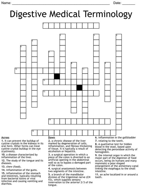 Digestive Medical Terminology Crossword WordMint