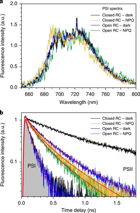 Results Of The Spectral Decomposition A Steady State Fluorescence