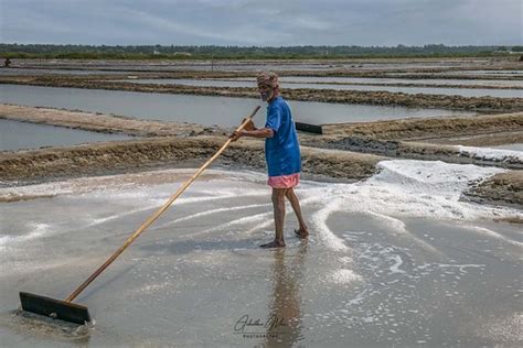 Salt Pan Salt Pans Of Marakkanam Achudhan Mani Flickr