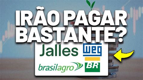 V Rios An Ncios De Dividendos Brasilagro Weg Vibra Energia Cury