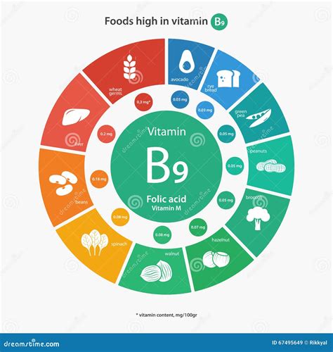 Comidas Altas En La Vitamina B9 Ilustración del Vector Ilustración de