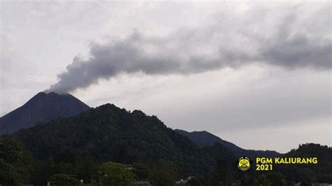 UPDATE Gunung Merapi Asap Sulfatara Keluar Berintensitas Tebal Dengan