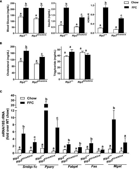 Frontiers Receptor Interacting Protein 1 And 3 Kinase Activity Are