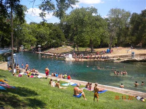 View with diving board - Picture of Barton Springs Pool, Austin ...