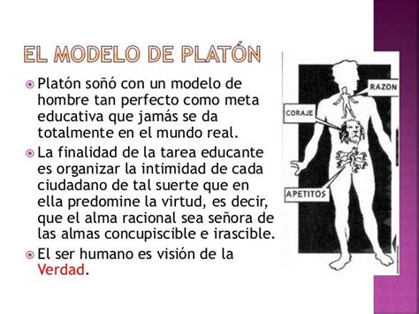 Fundamentos Filosóficos De Las Teorías De La Educación