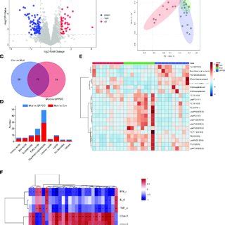 Metabolome Analysis Of The Serum A Volcano Plot Showing Changes In