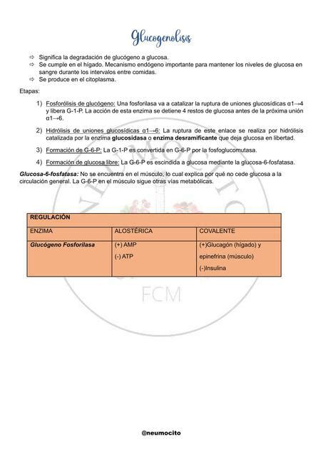 Glucogenolisis Placentados UDocz