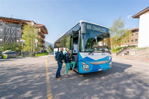 Val Di Fassa Guest Card Discover The Benefits