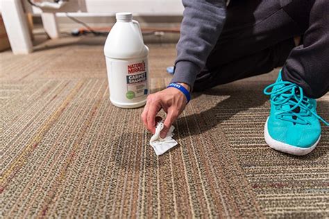 5 Best Carpet Cleaning Solutions - Nov. 2024 - BestReviews