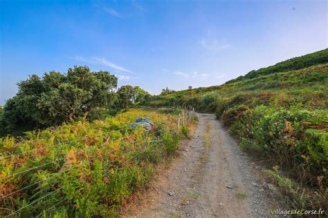 Wanderung Zur Kapelle Santa Maria Auf Den H Hen Von Furiani