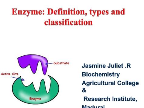 Enzymes Definitions Types And Classification