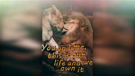 Martin Garrix Ft Third Party Lions In The Wild Lyrics 432 Hz Youtube