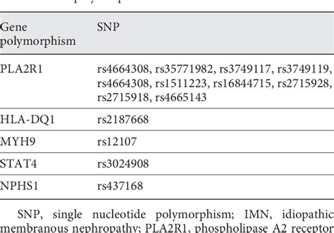 Table 1 From Advances In Pathogenesis Of Idiopathic Membranous Nephropathy Semantic Scholar