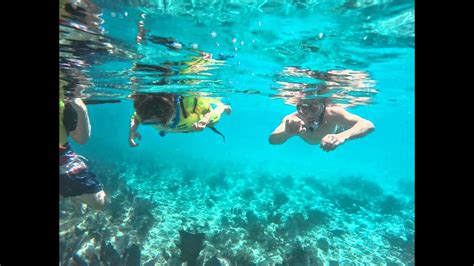 Snorkeling Alligator Reef Lighthouse Gopro Photos Islamorada Fl