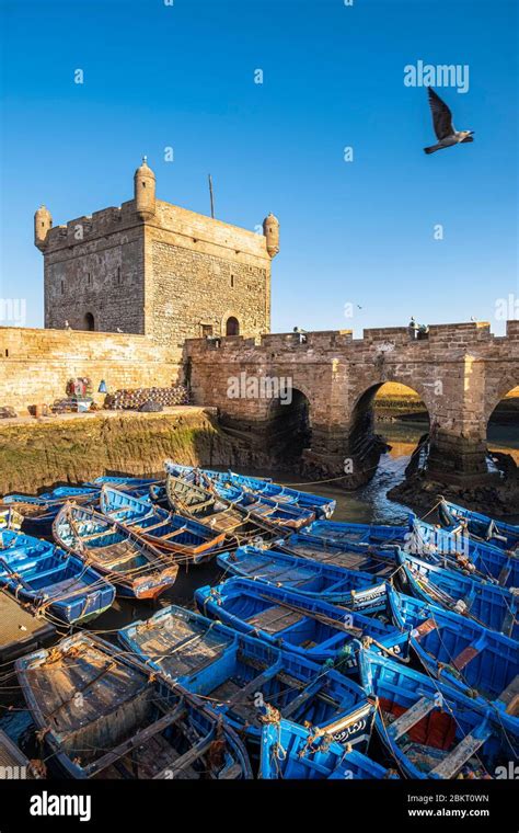 Morocco Marrakech Safi Essaouira Traditional Fishing Harbour Sqala