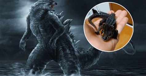 Facebook Nace El Hijo De Godzilla Video Que Muestra A La Criatura