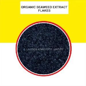 Seaweed Humic Granules Manufacturer Exporter Supplier In Lucknow India