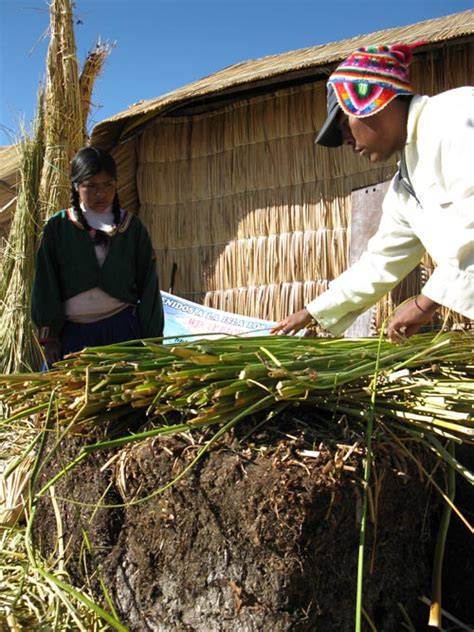 Los Uros Uros Floating Islands Lake Titicaca Lago Titicaca Peru