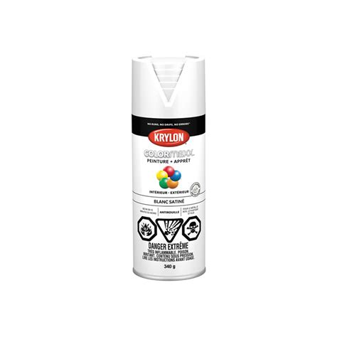 Peinture Et Appr T A Rosol Colormaxx Couleur Blanc Fini Satin G