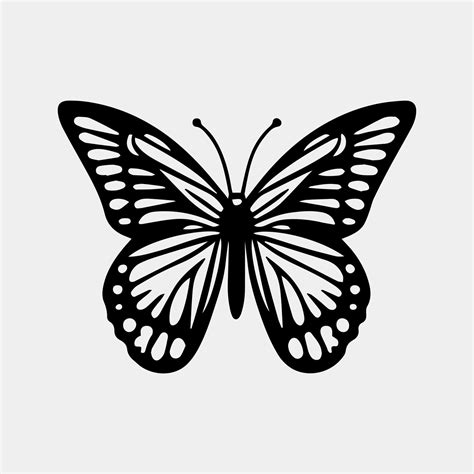 butterfly silhouette vector black and white 21214774 Vector Art at Vecteezy