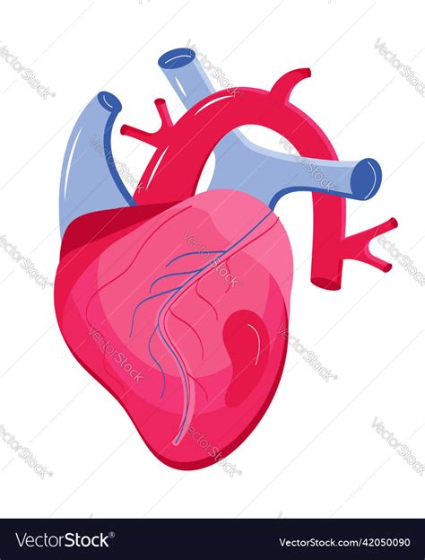 Heart Icon Myocardial Infarction Royalty Free Vector Image